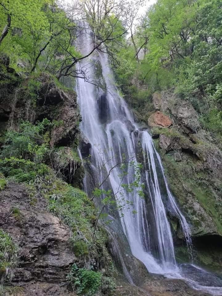 La Villa Le Petit Bois, Pres Rocamadour, Padirac Lavergne  Dış mekan fotoğraf
